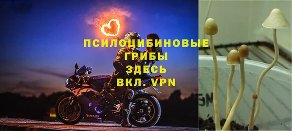 бутират Коряжма
