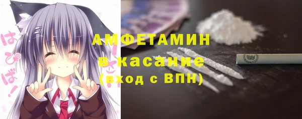 молекула духа Козловка