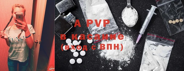 молекула духа Козловка