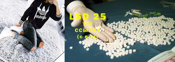 PSILOCYBIN Кодинск