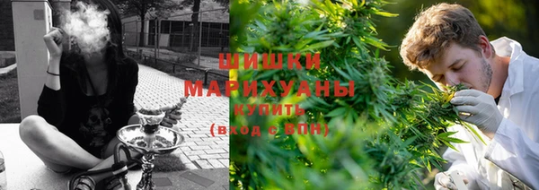 молекула духа Козловка