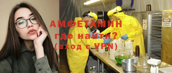 молекула духа Козловка