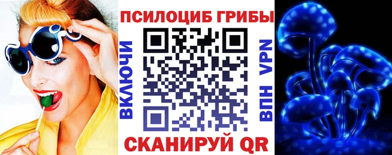 Купить  Лагань  Галлюциногенные грибы Cubensis 